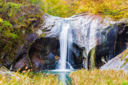 洛阳白云山森林