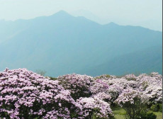 螺髻山